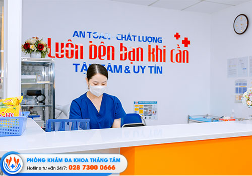 8-dia-chi-cat-bao-quy-dau-quan-12-chat-luong-uy-tin