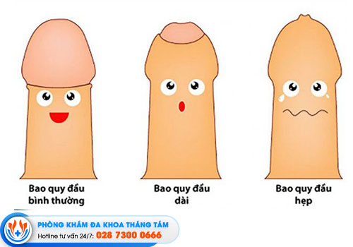 8-dia-chi-cat-bao-quy-dau-quan-8-chi-phi-binh-dan-an-toan