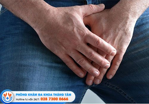 9-dia-chi-cat-bao-quy-dau-quan-9-khong-dau-an-toan