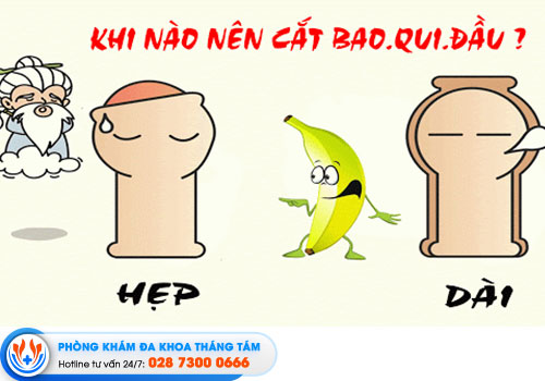 9-dia-chi-cat-bao-quy-dau-quan-9-khong-dau-an-toan